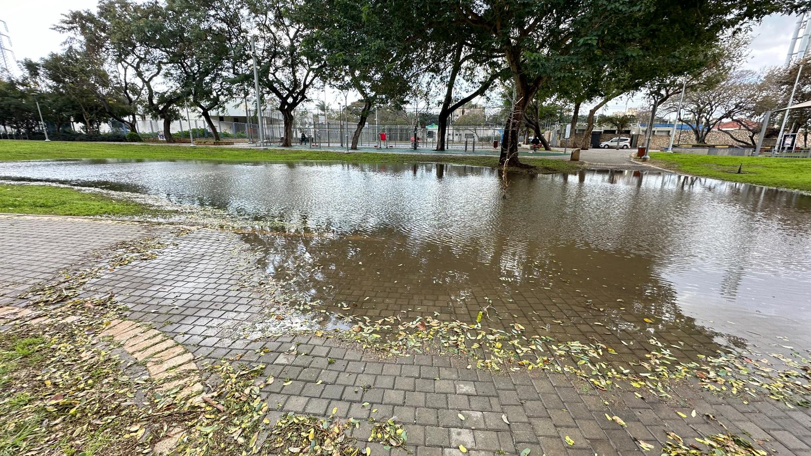 WhatsApp Image 2024-01-30 at 19.11.14 (1).jpeg